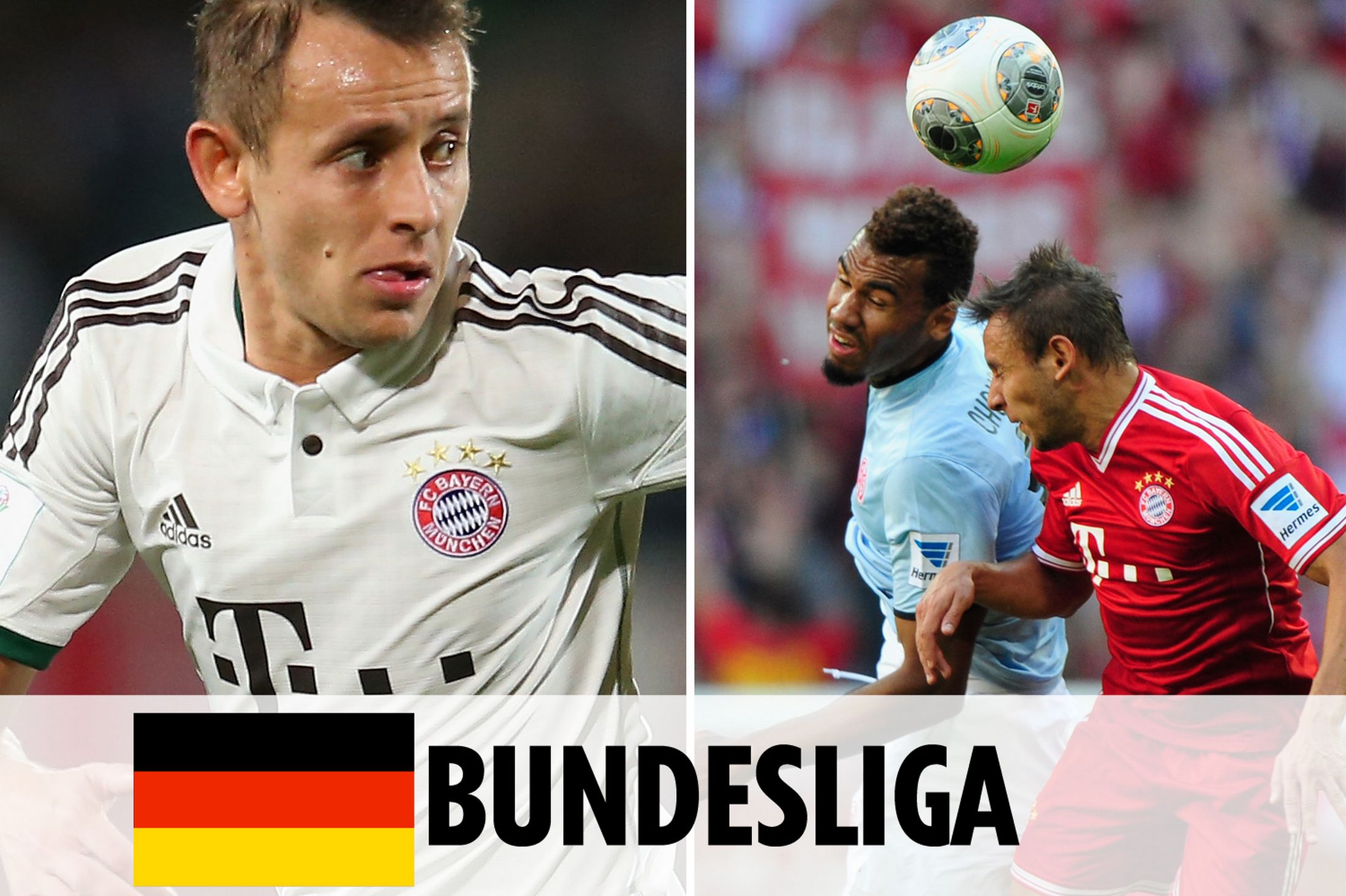 若交易尘埃 若交易尘埃